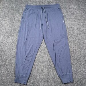 Pair Of Thieves Athleisure Lightweight Cool Athletic Jogger Pants Blue Mens Med